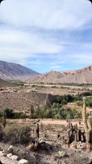 This archaeological site is Pucará, home of a native town of about 2,000 people that was conquered by the Incas in the 1400s. The Spanish arrived in the 1500s, taking over the Incan empire. But descendants  of the pre-Incan peoples still live in the area.

The large cactus is the Cardón, a species that grows only about 1cm a year. These plants are hundreds of years old. They are protected by law, but climate change has already caused intrusion by plants that cover and kill.

Cactus wood is light and strong, and provides roofs for the structures here. 

Pulcará is adjacent to the town of Tilcara, in the Quebrada de Humahuaca, in northwestern Argentina.  #argentina #quebradadehumauca #tilcara #pucará #travel