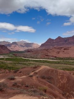 We left the wineries around Cafayate and made our way through the mountains of the Quebrada de las Conchas on our way back to Salta.
Here are some scenes.
This was my final day with Rodrigo Bisbal, @ponchotours
I could not have asked for a better guide to some of the most beautiful and unique places I have ever been. Le agradezco mucho.
#cafayate #salta #travel #travelphotography #argentina